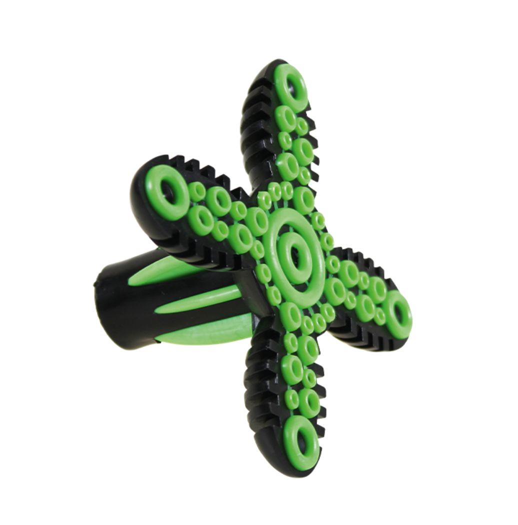 Embout de cannes stable Gecko Identités